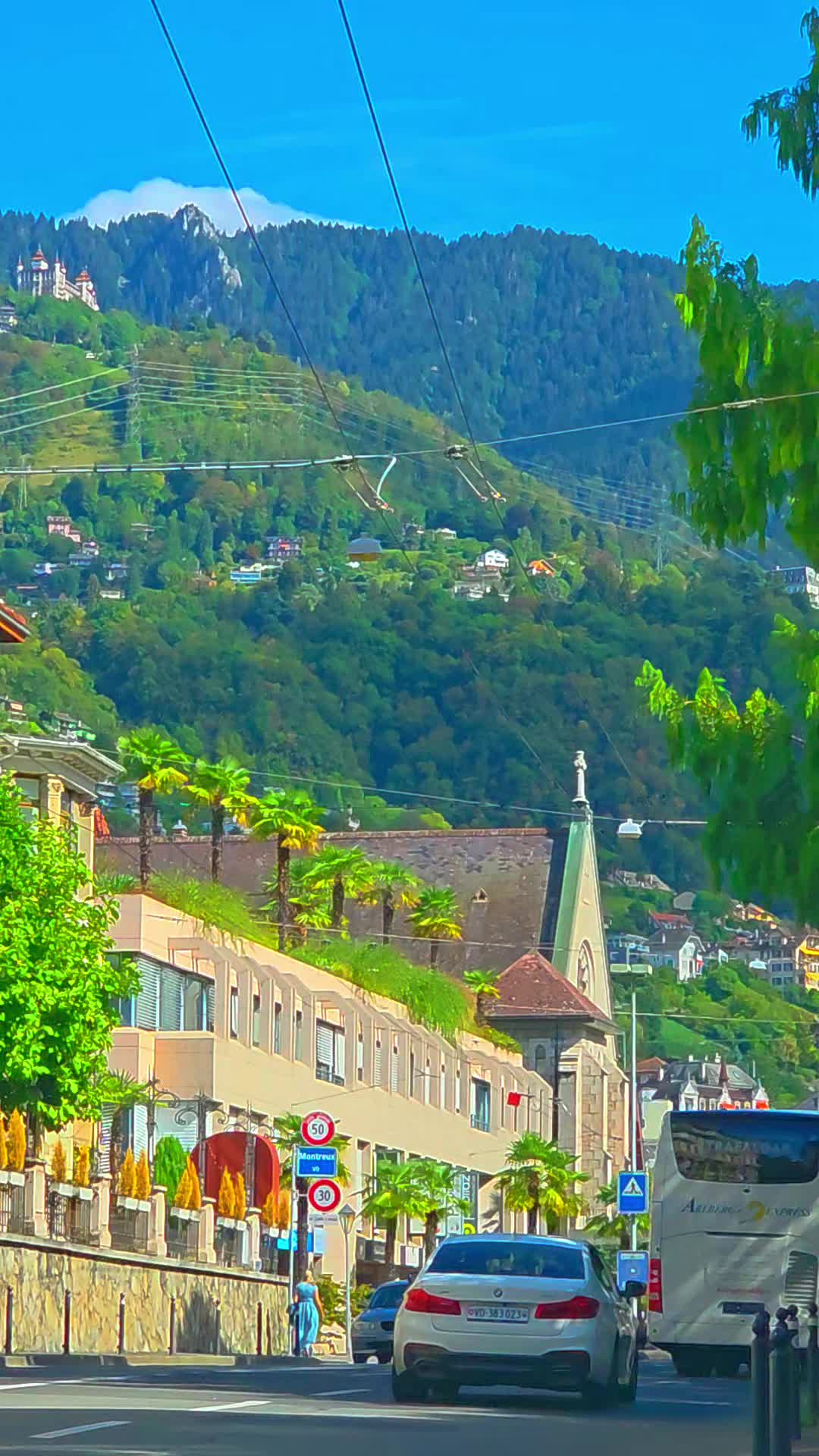 @🇨🇭flores Sérgio 🇵🇹