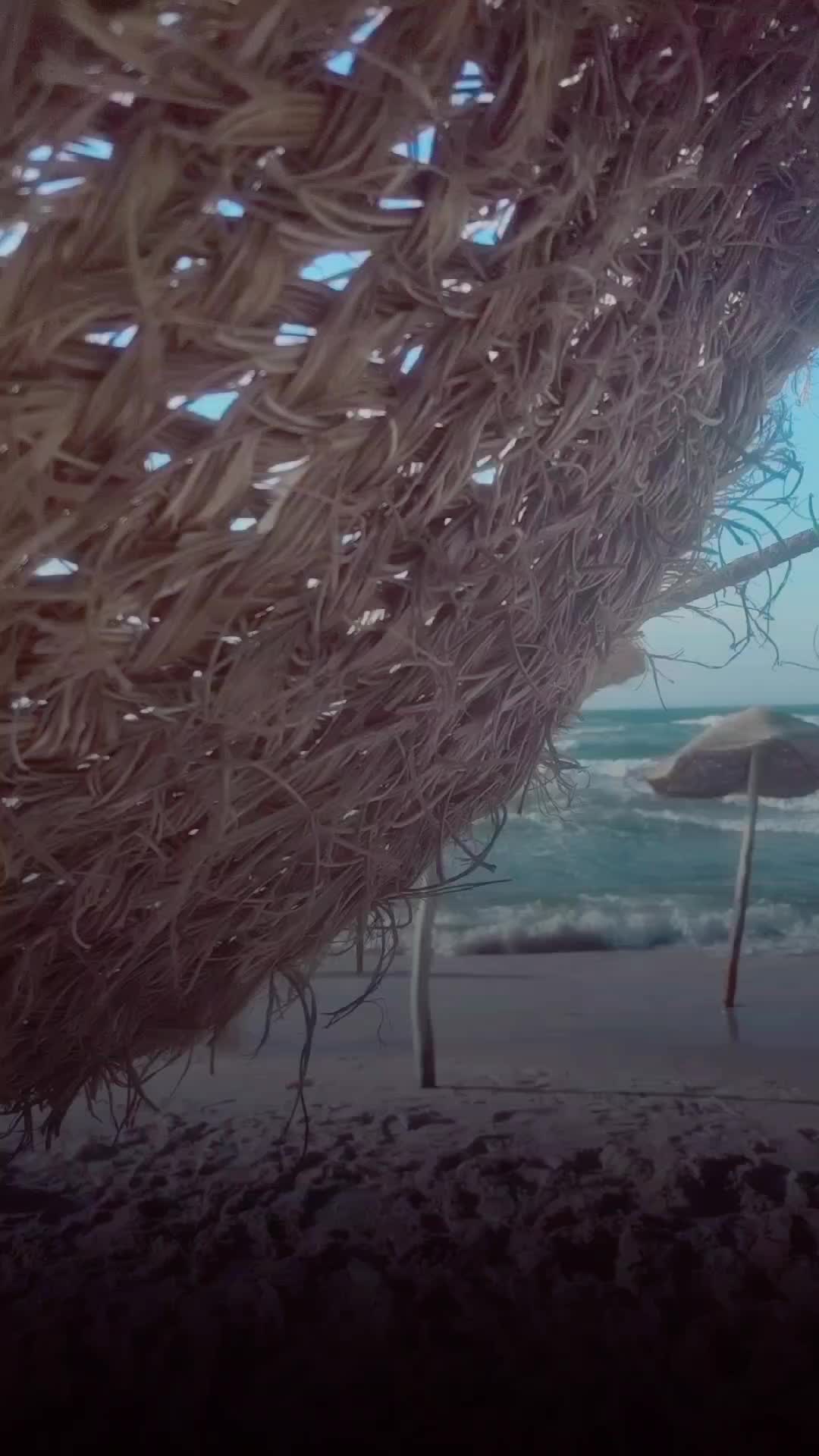 @اسلام العشي