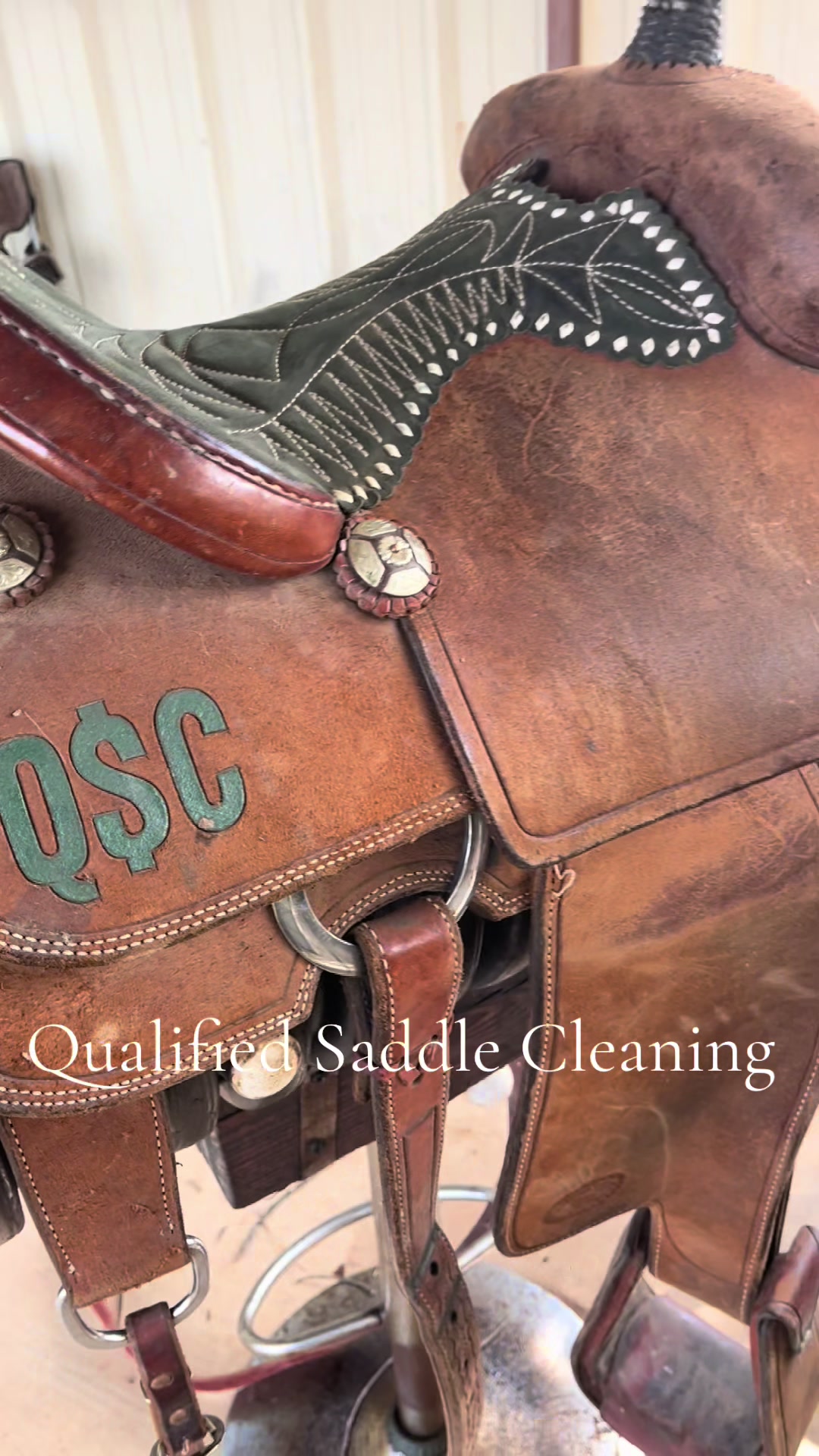 @Qualified Saddle Cleaning