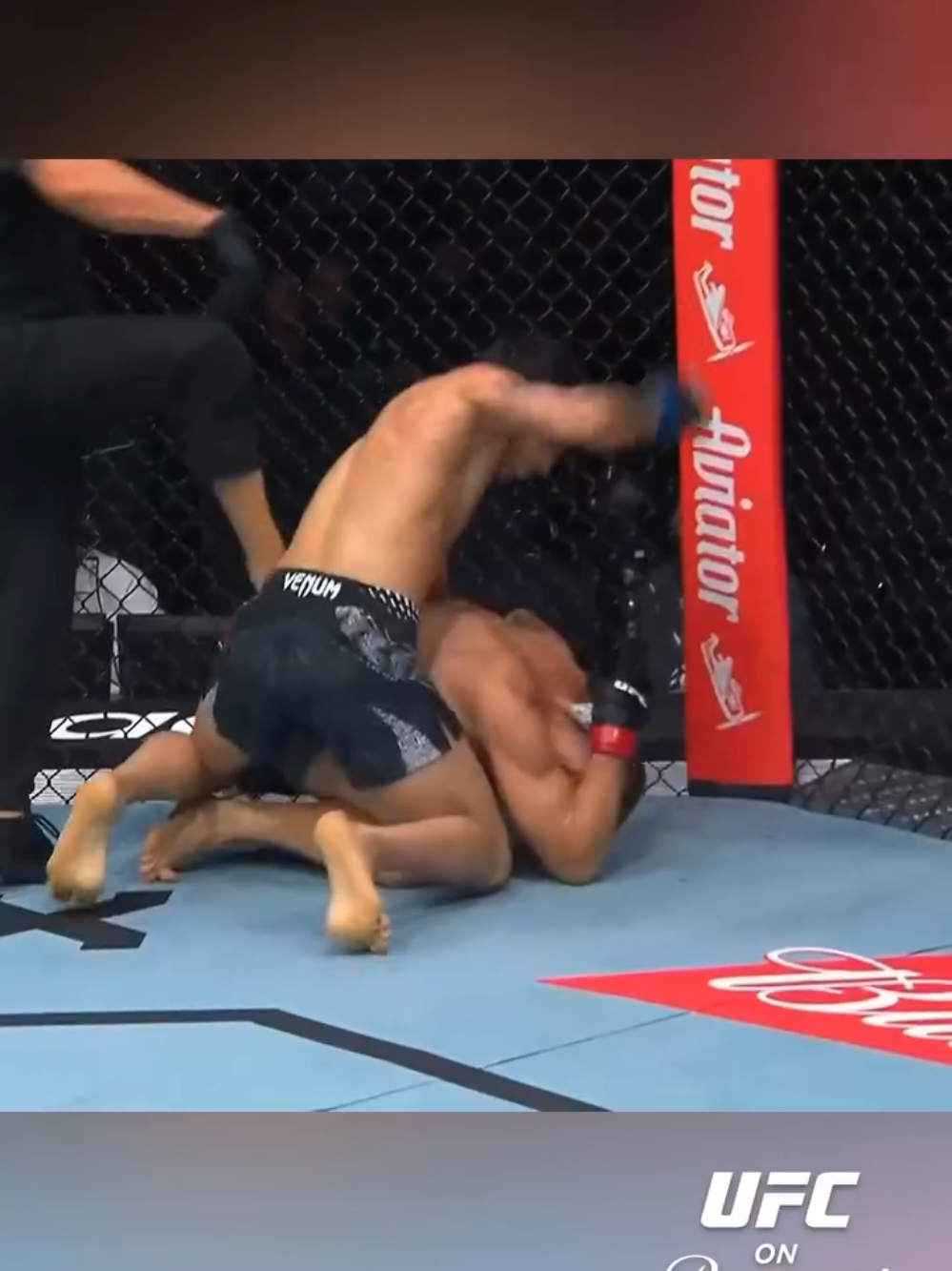 @🇺🇸MMA/AZE🇦🇿🇪🇺