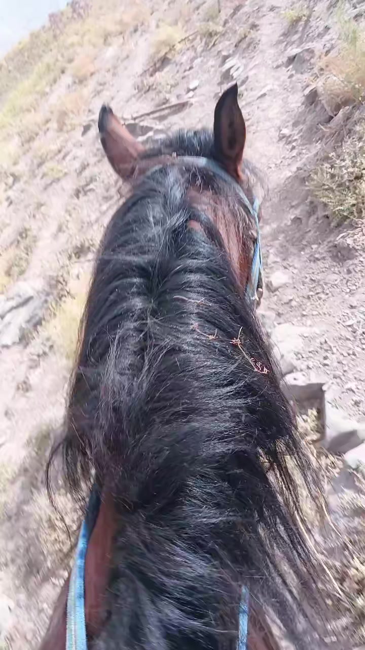 @оди