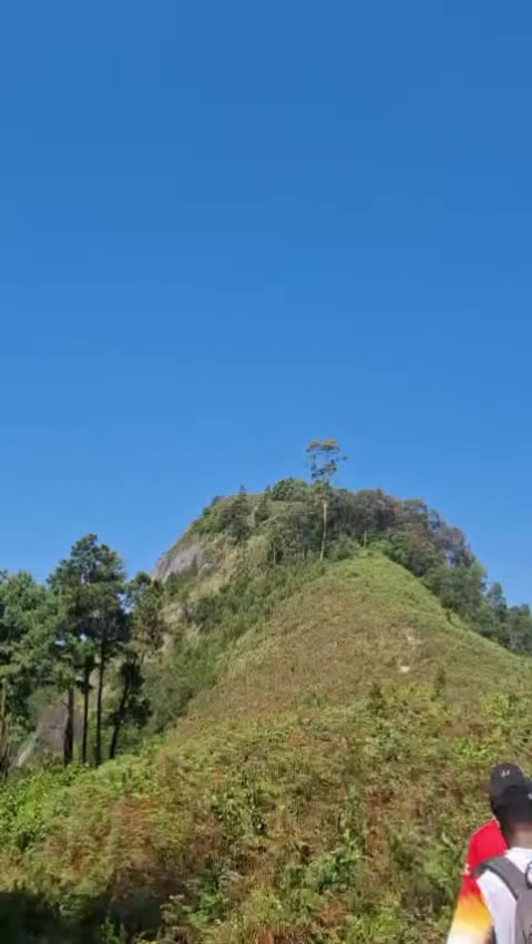 @Taita Hiking And Safari's