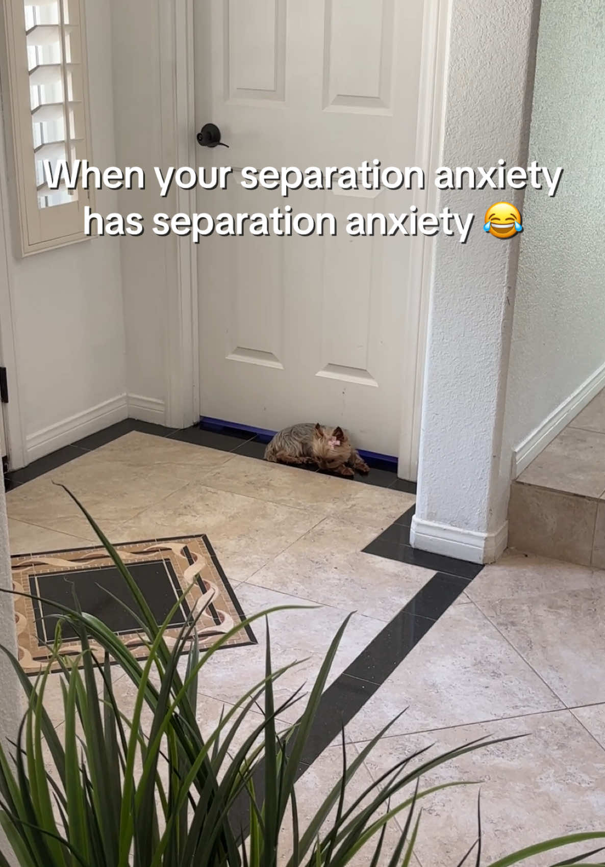 @Theresa Erika