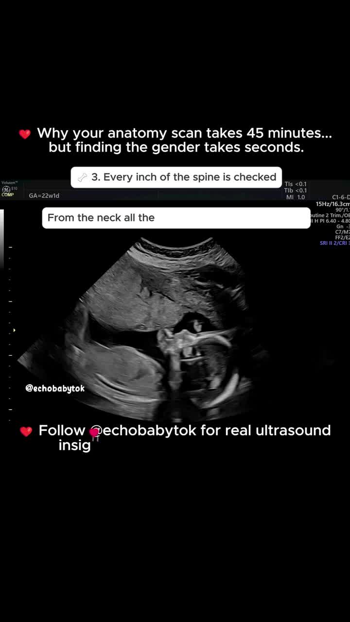 @Echobaby