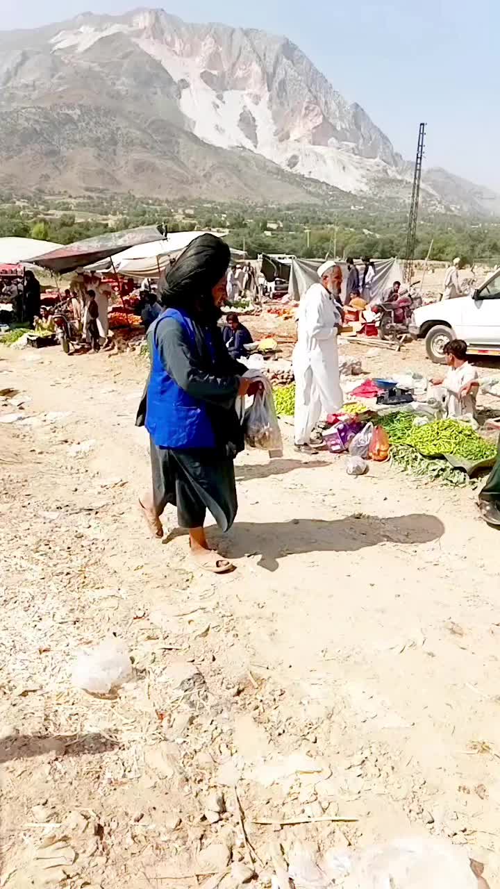 @Shapodin333🐆🦅