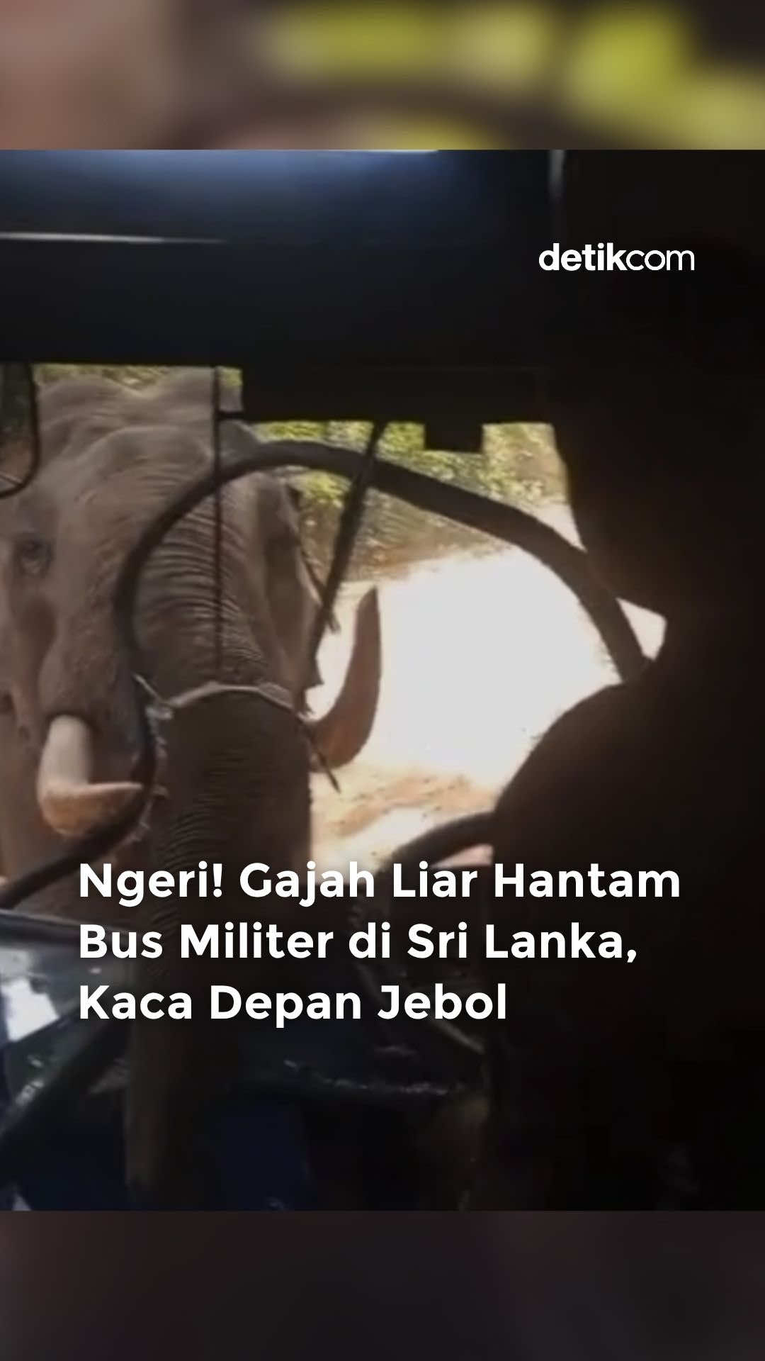 @detik.com
