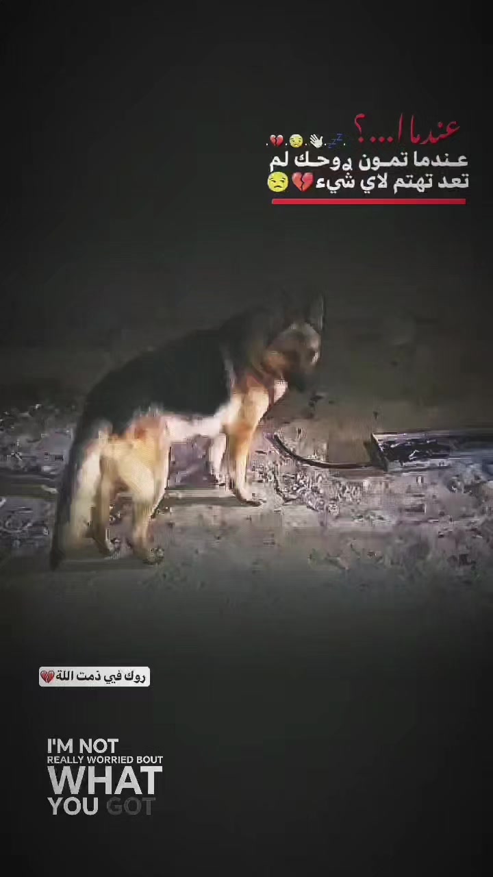 @سـونـي🎖.