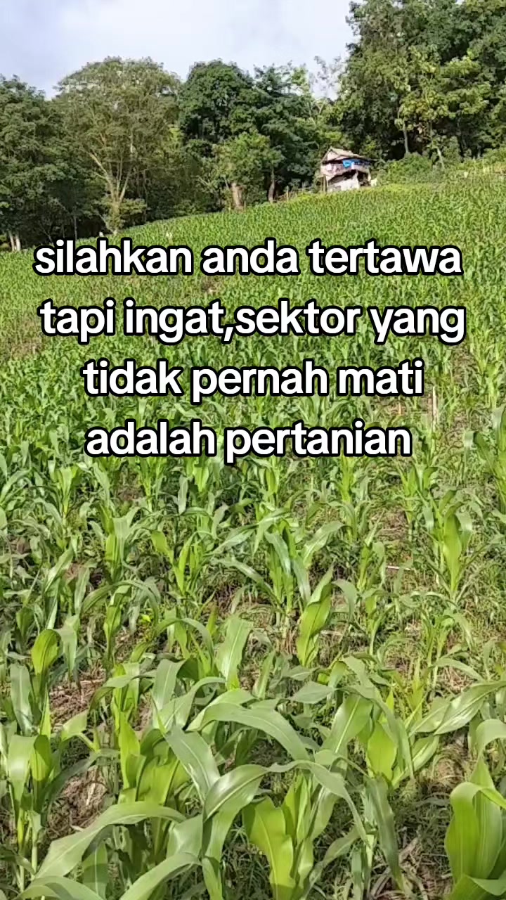 @saipulipul969