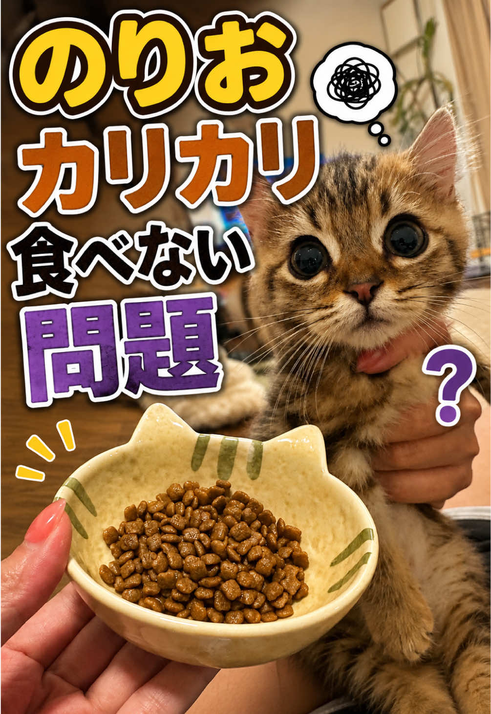 @のりおのTikTok