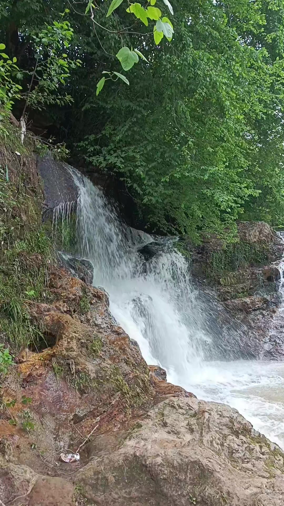 @Zoğa