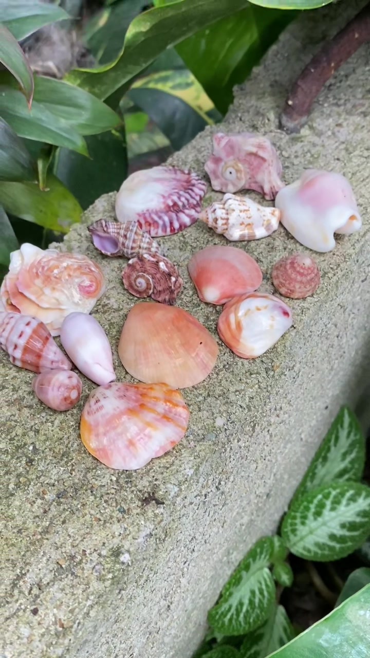 @Seaglass Goddess ღ