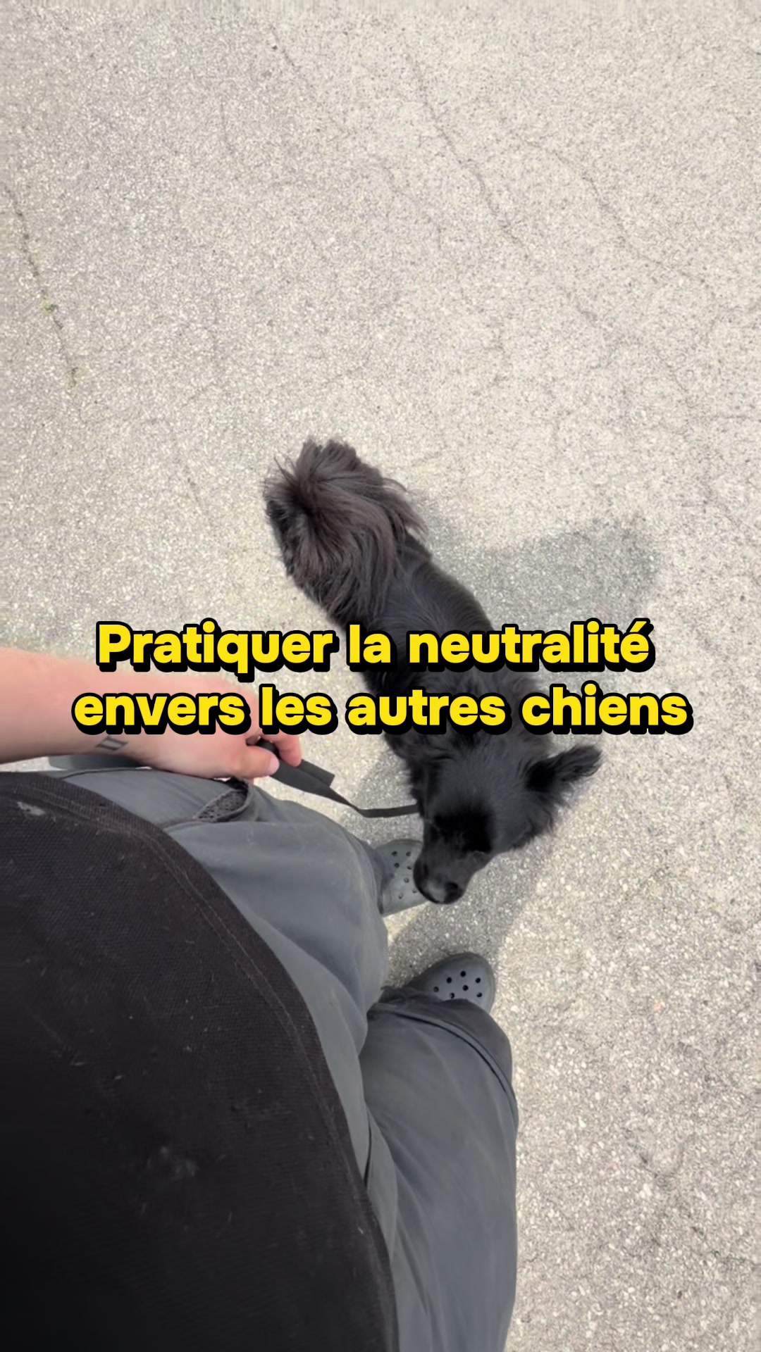 @centrecanindesruisseaux