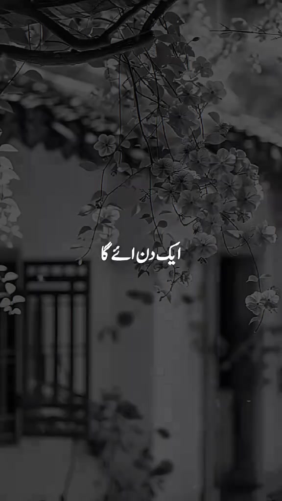 @Mubashir Rathore