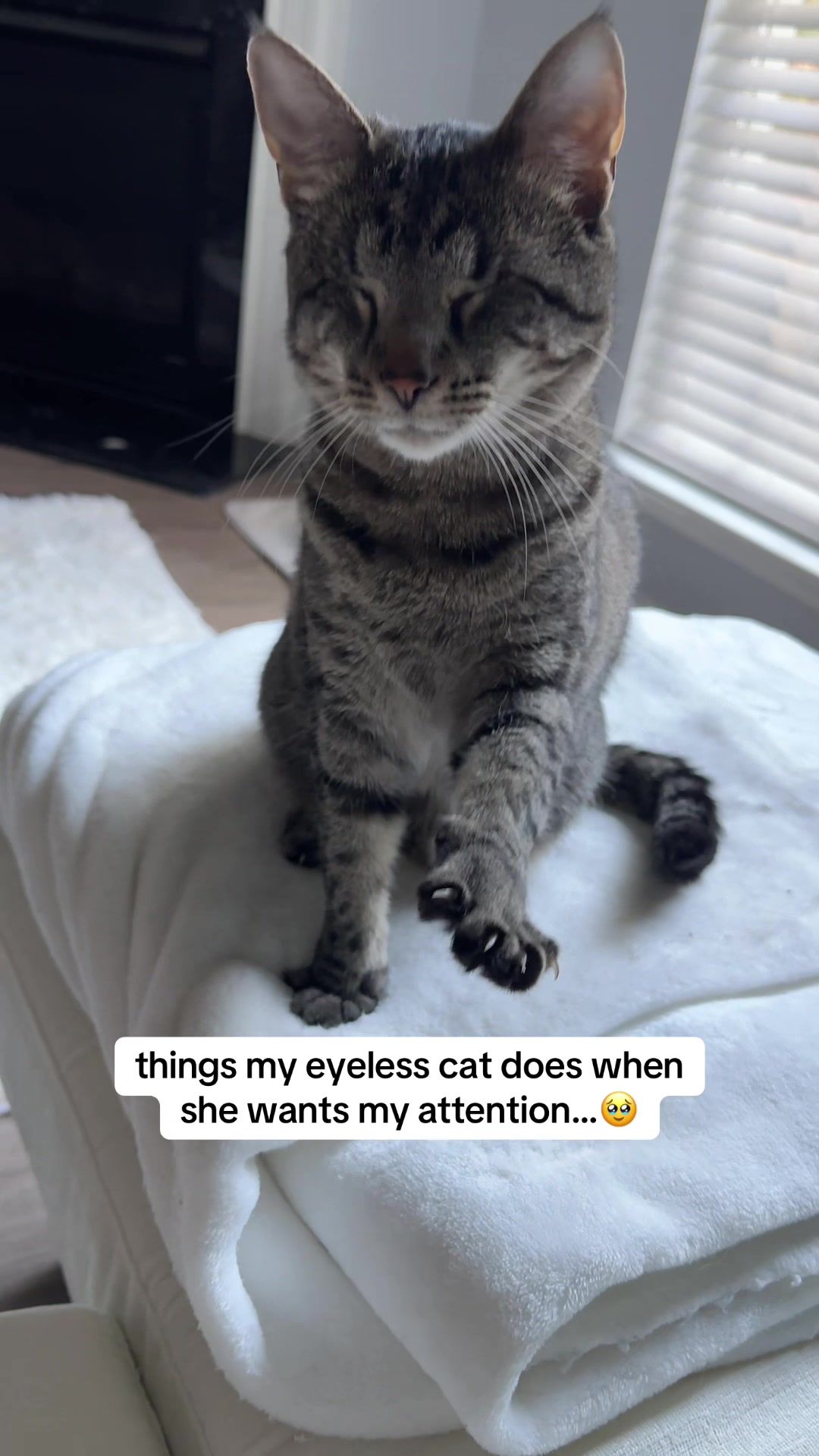 @𝘼𝙢𝙗𝙚𝙧 & 𝙎𝙩𝙚𝙫𝙞𝙚