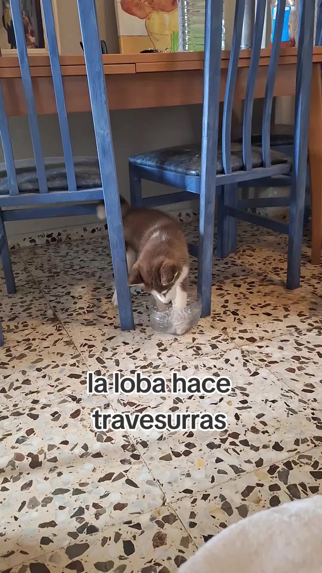 @edu