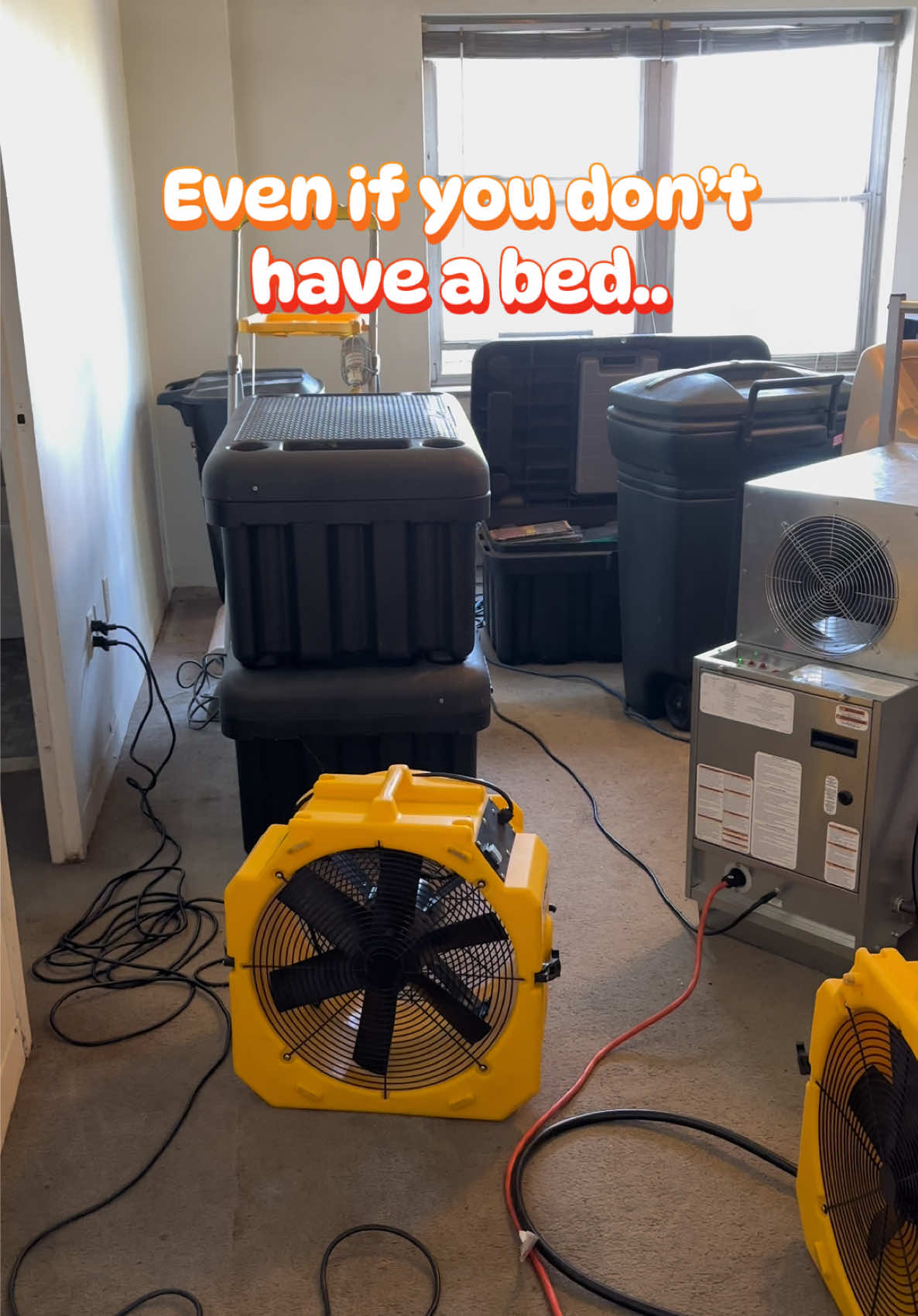 @Rock Pest Control