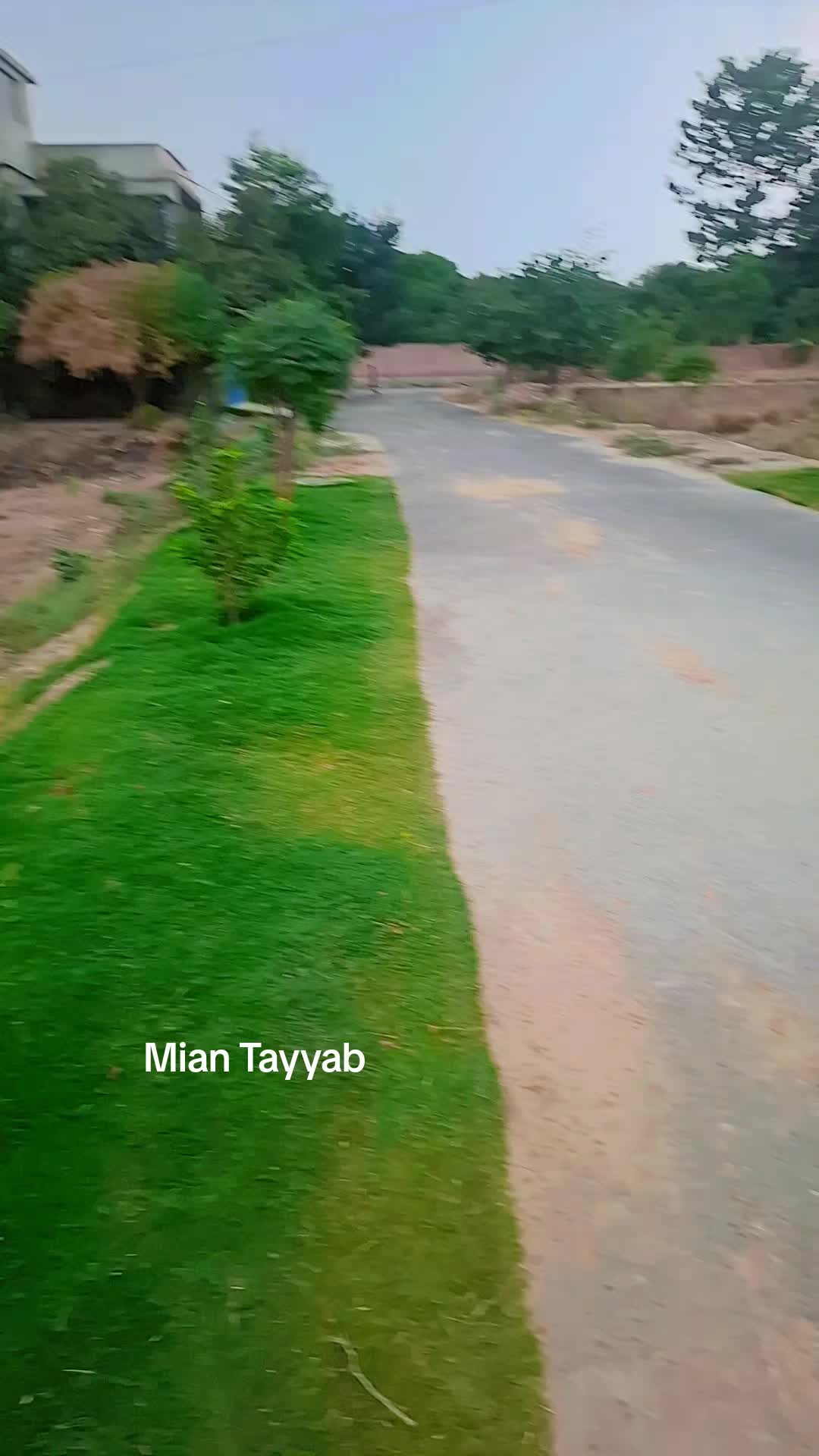 @Mian Tayyab