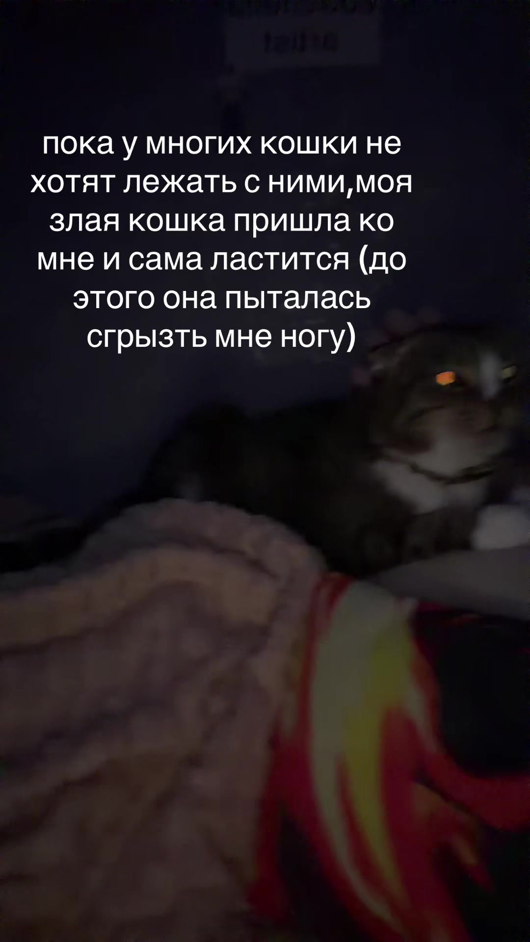 @рей
