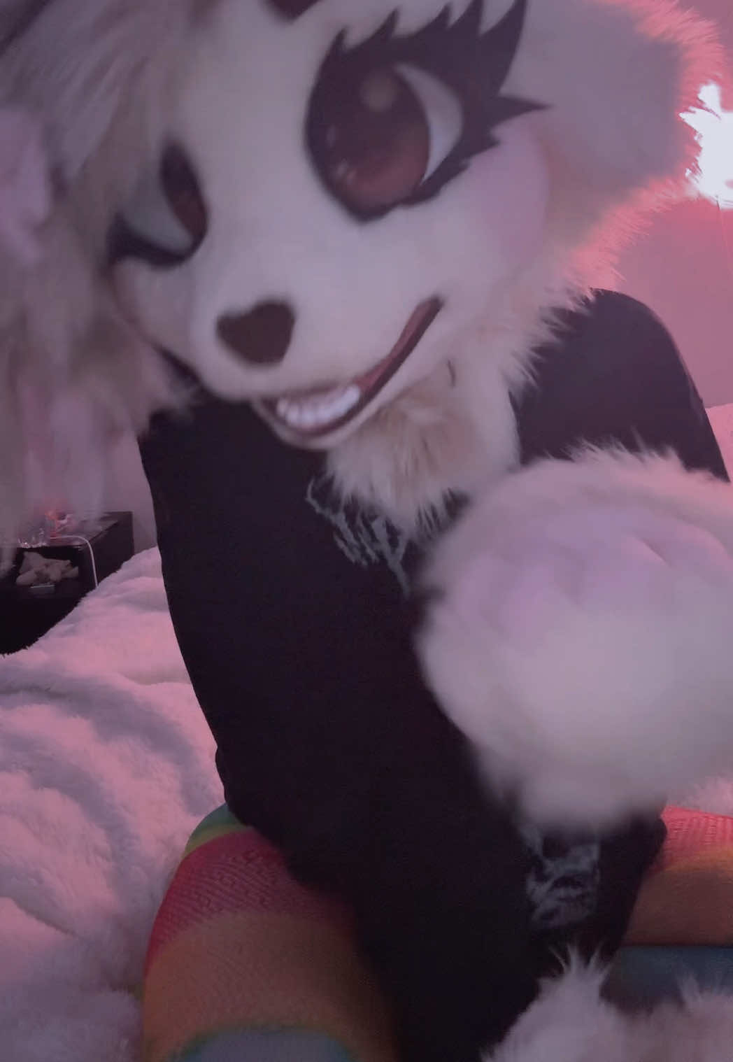 @🎀🦊Foxii🦊🎀