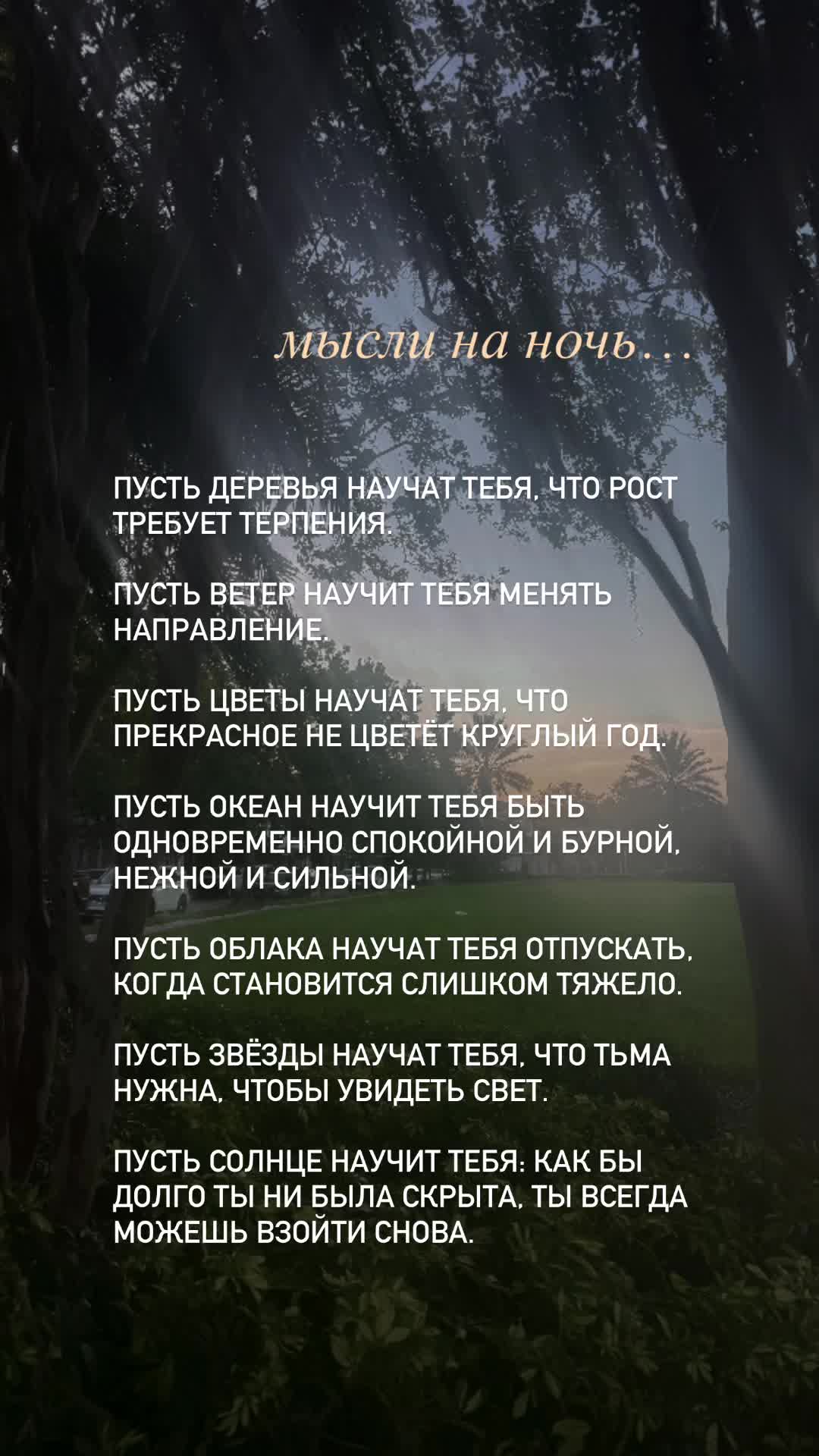 @svetlana_konovalov