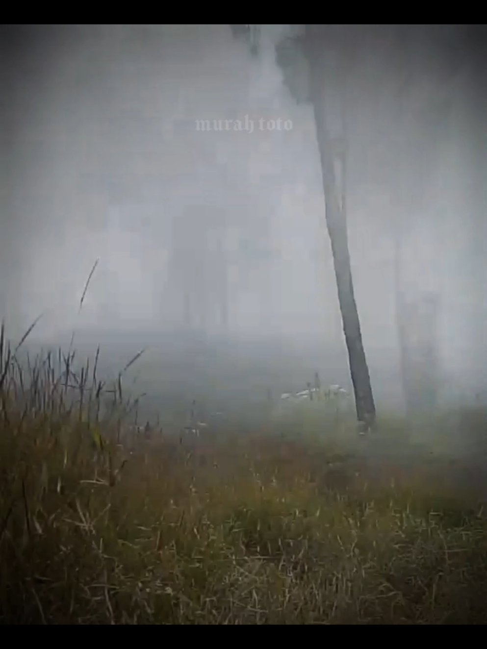 @Indra Wahyudi