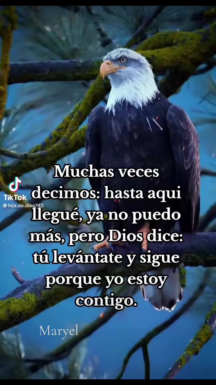 @Deisy