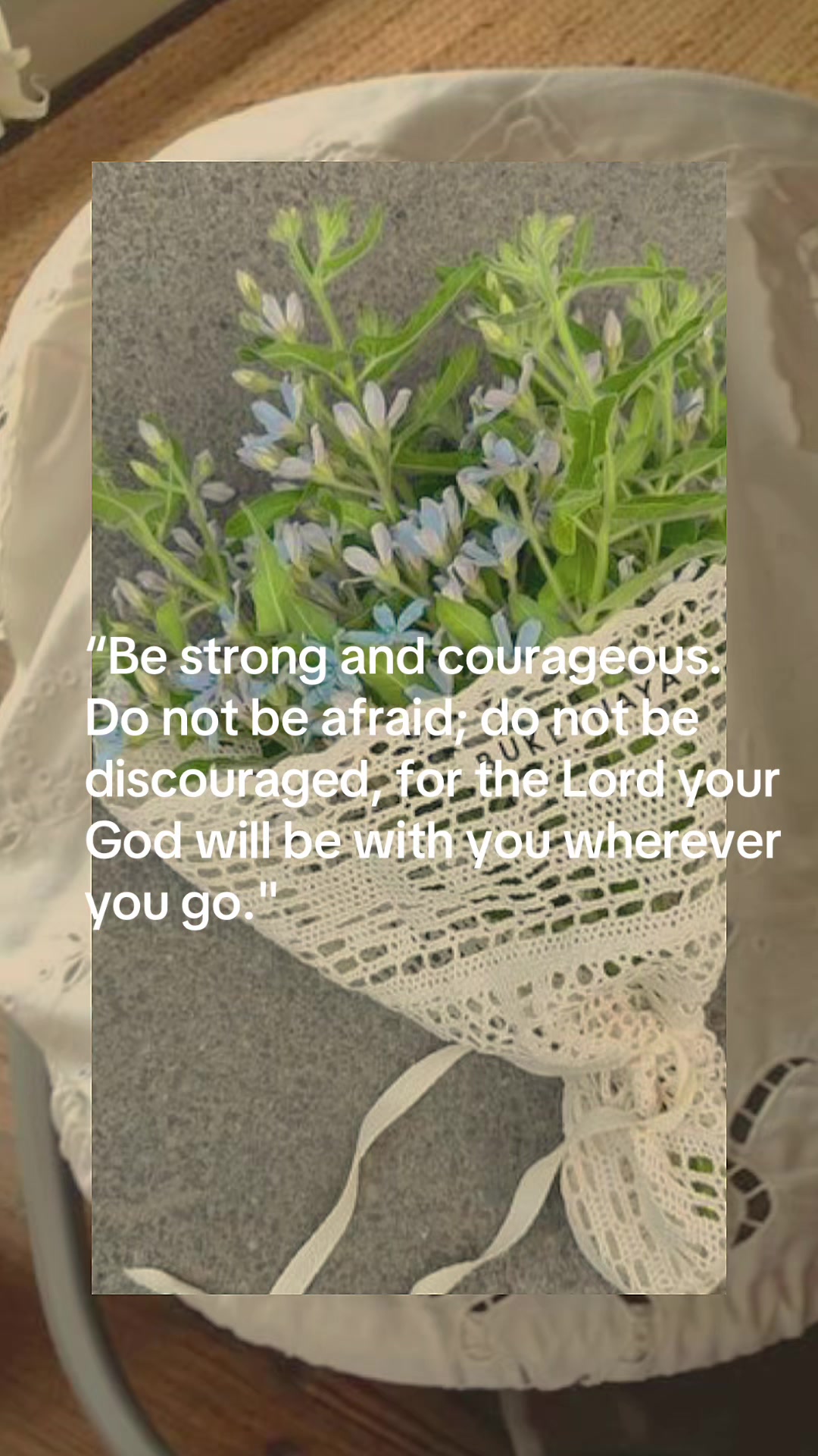 @The cozy bible