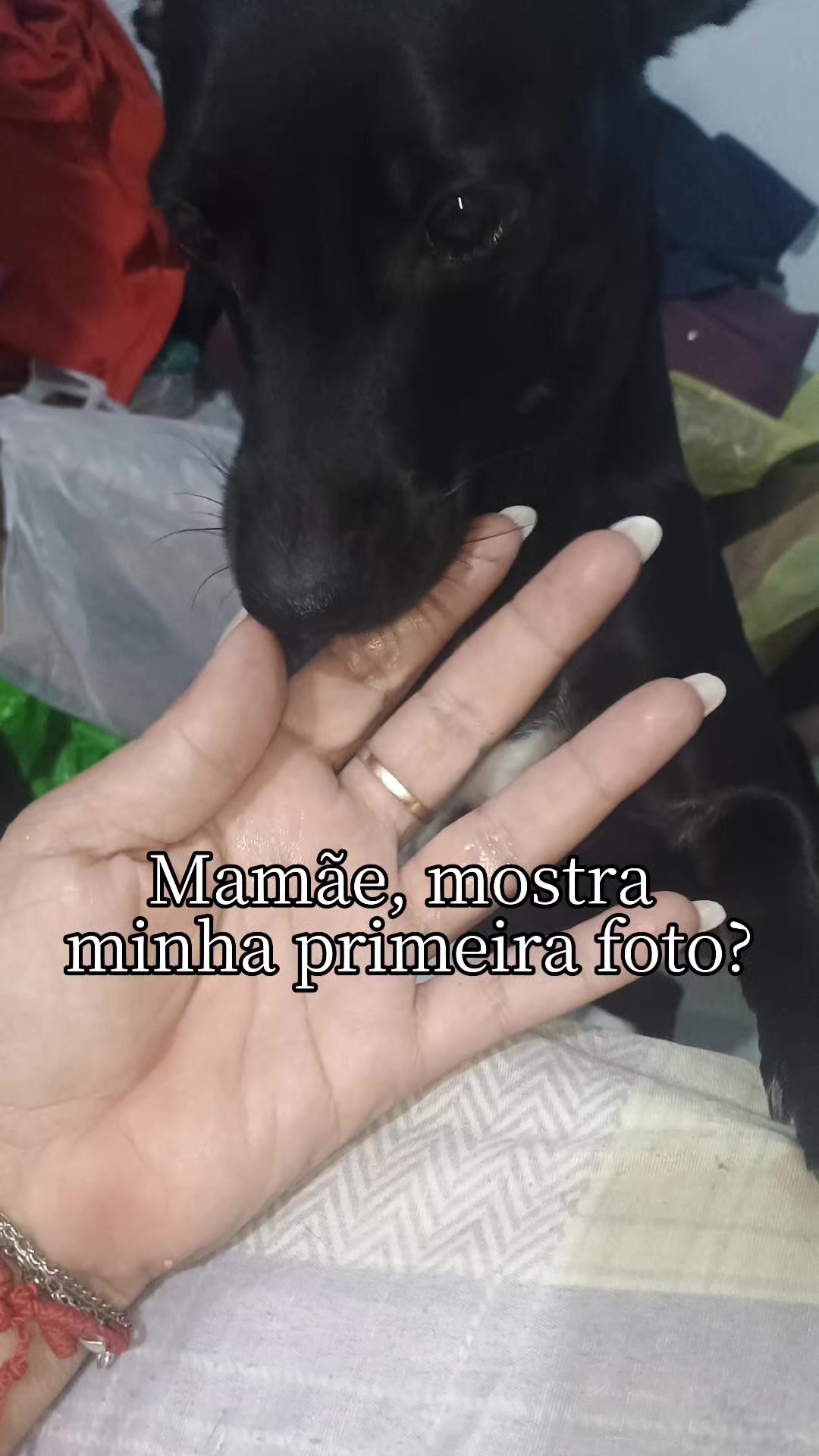 @Jurema Ramos