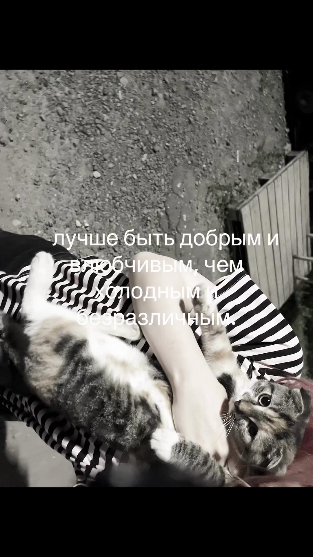 @ihtp22