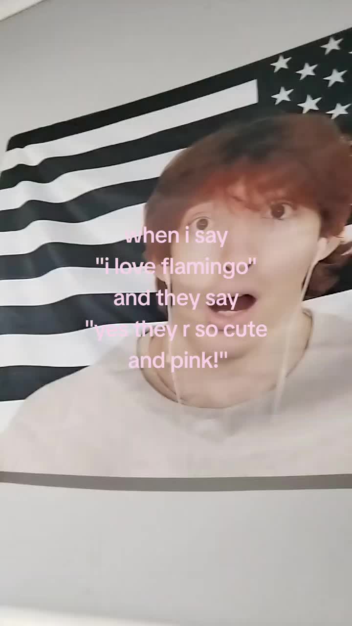 @Lainie (🫀's version)