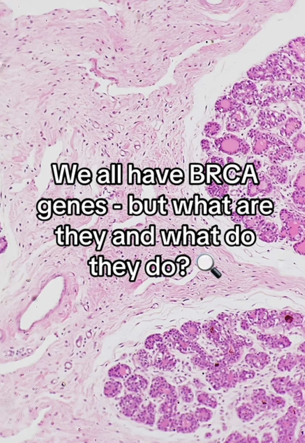 @Cancer Research UK