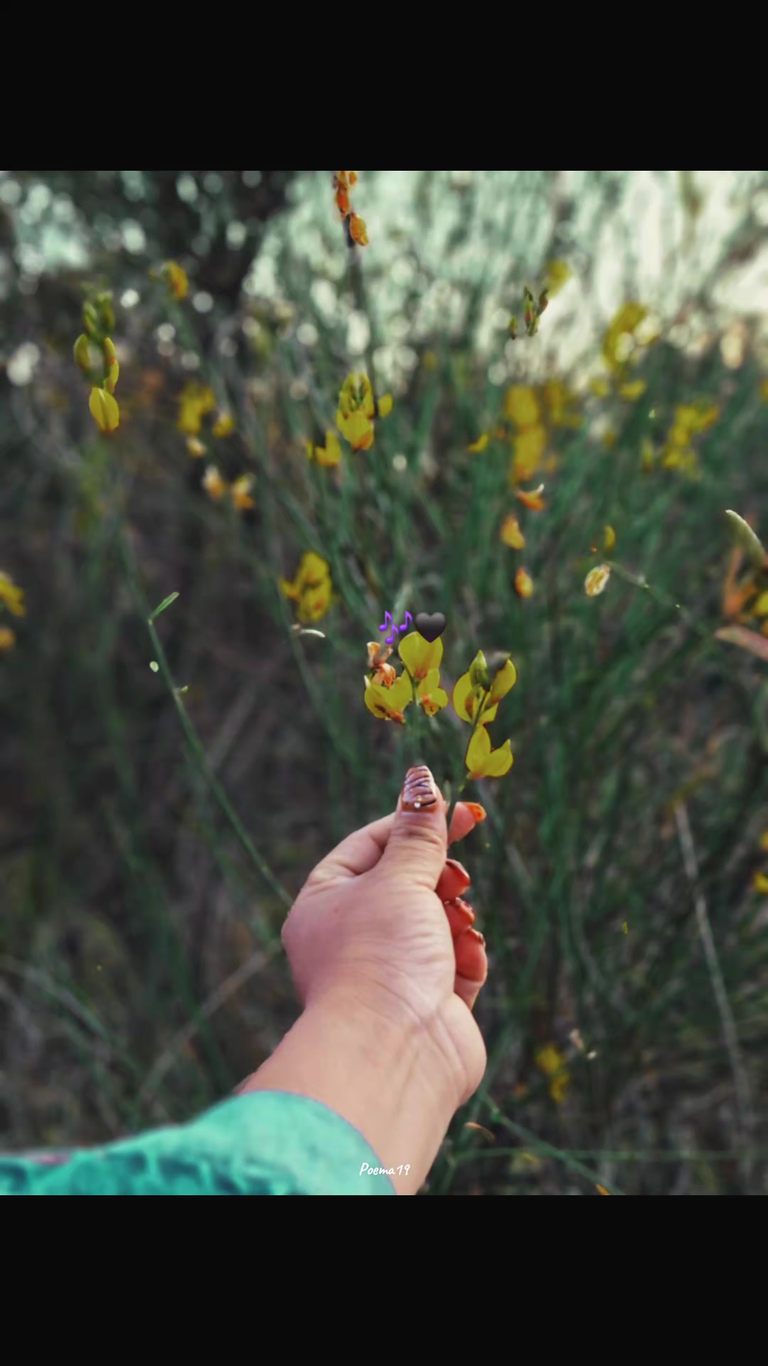 @🦋🌼my flower🌼🍒