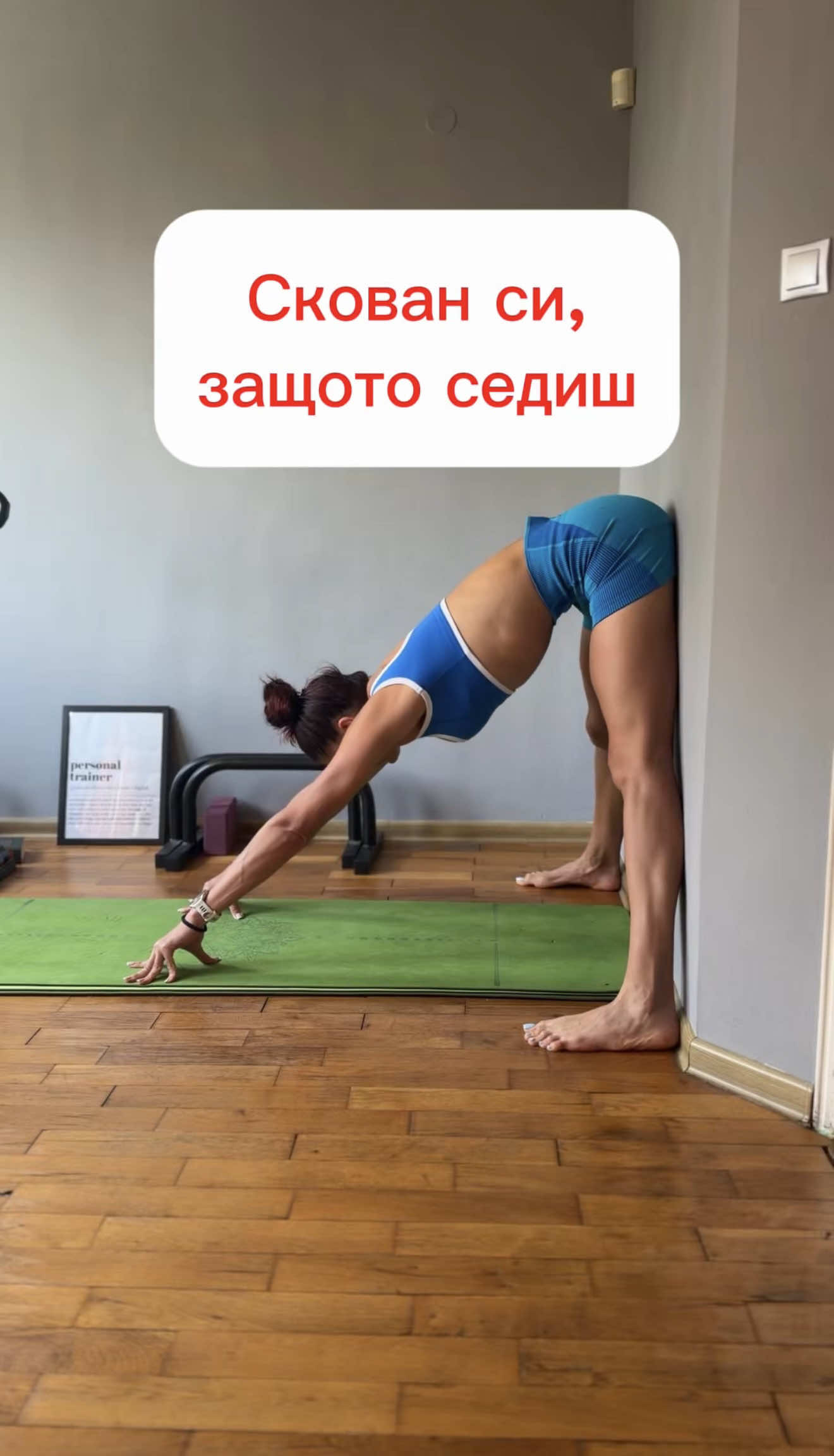 @Ines Subashka