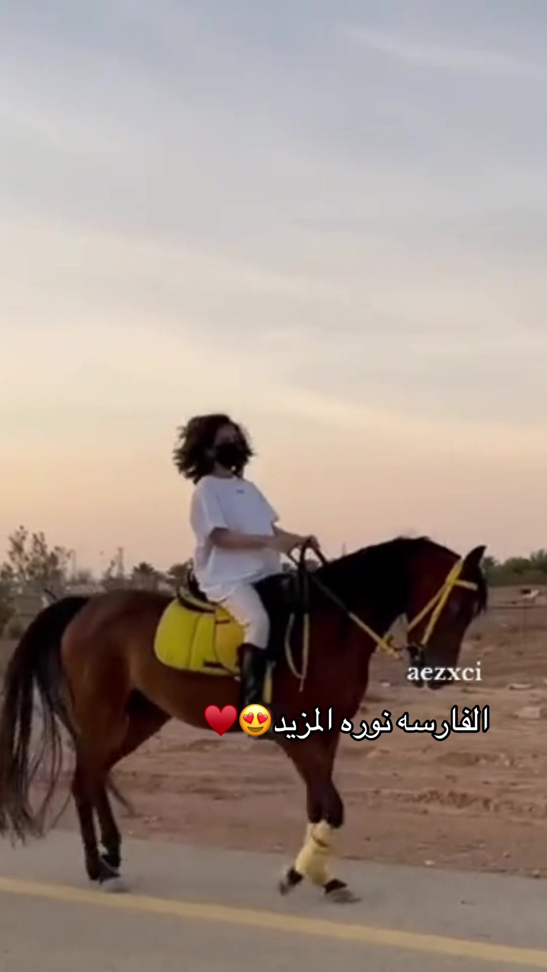 @فارسات وفرسان سدير