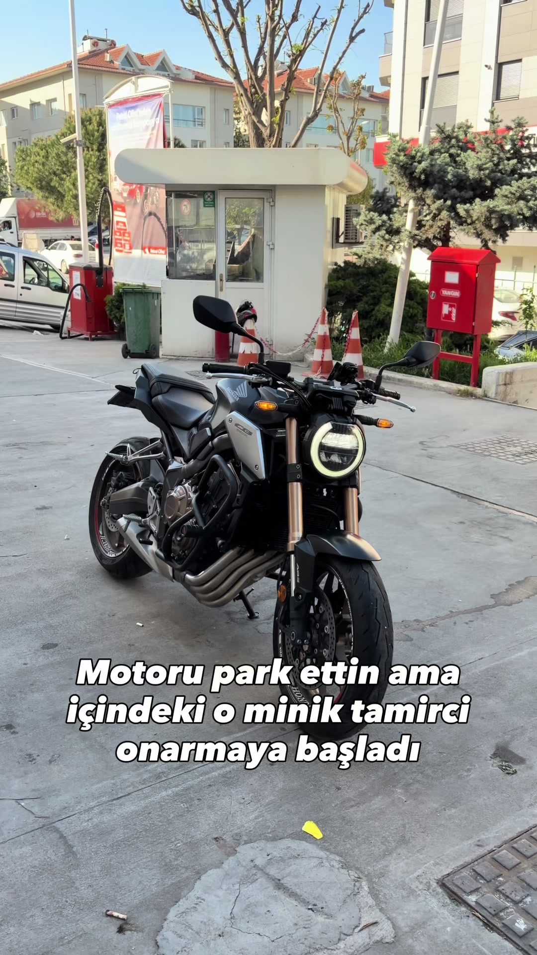 @ege