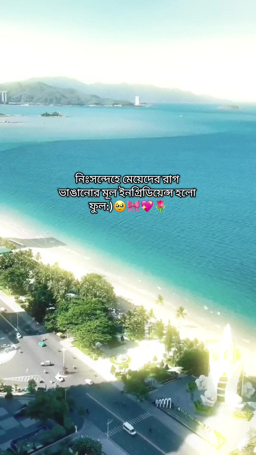 @𝗦𝘄𝗲𝗲𝘁_𝗛𝗲𝗮𝗿𝘁🥹🌷🦢☄️
