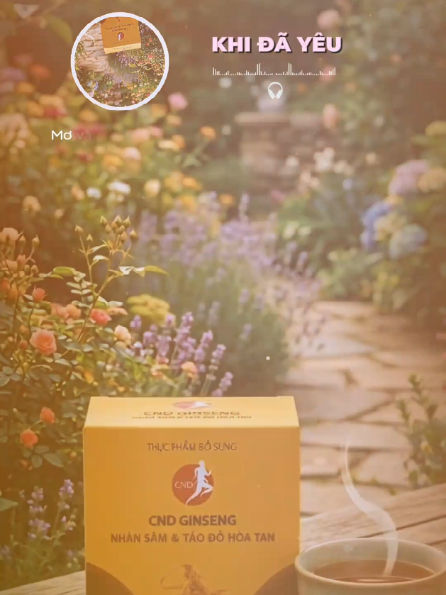@CND GINSENG B&agrave; Rịa