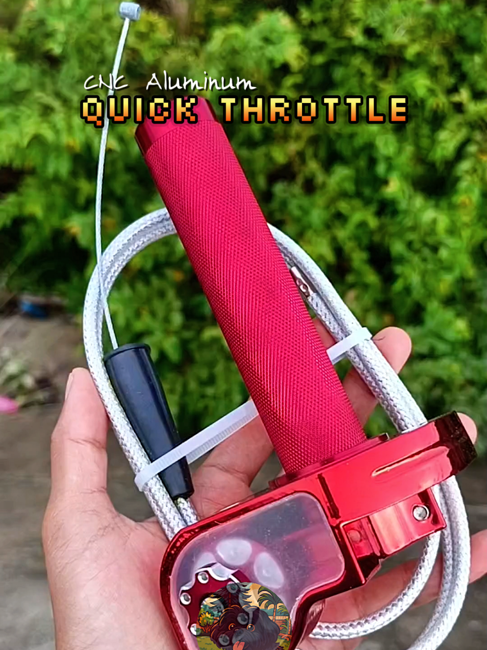 @𝖯𝗂𝖼𝗄𝗅𝖾 ᡣ𐭩