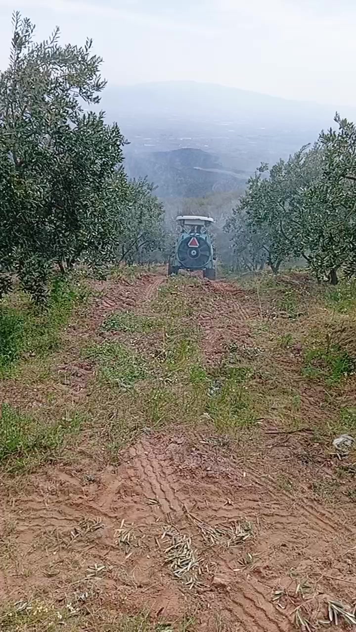 @Ali &Ccedil;ankaya