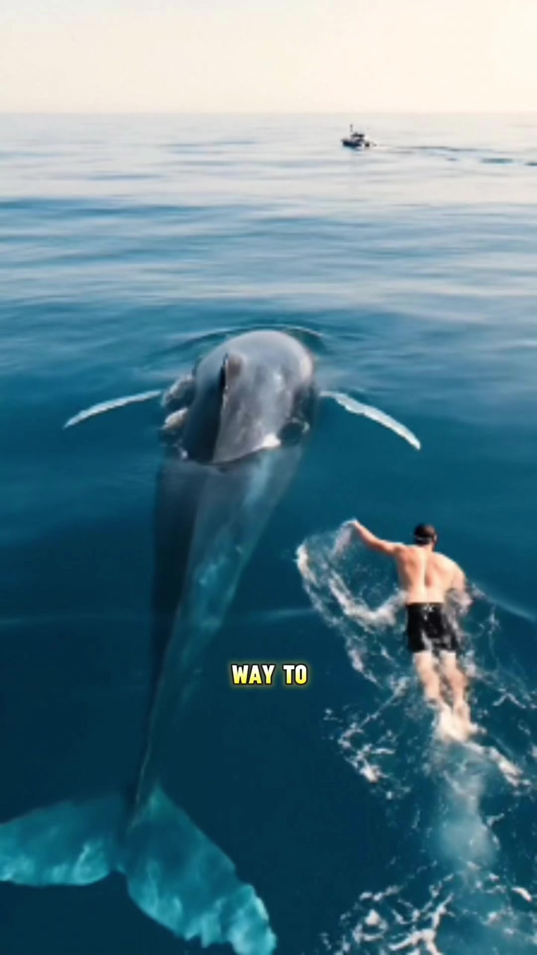 @JRE AnimalRants