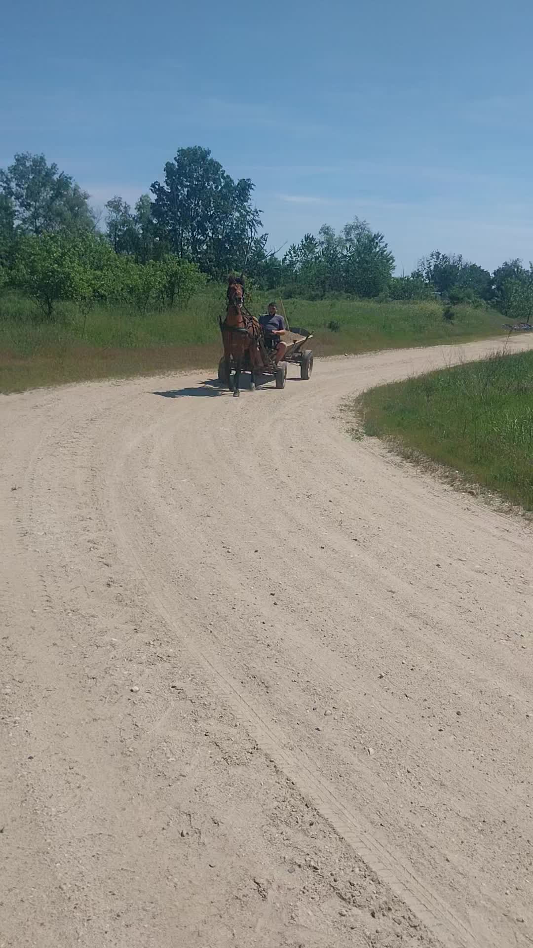@Ștefăniță Oprea