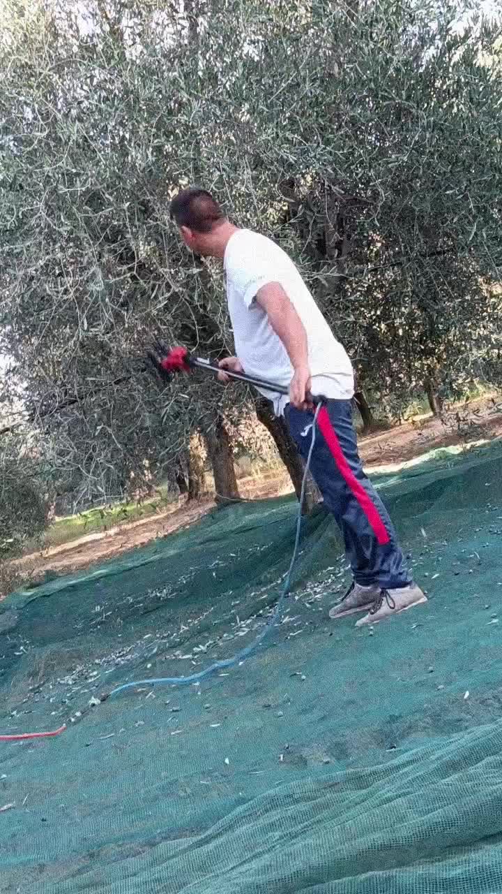 @đëñý💋❤️