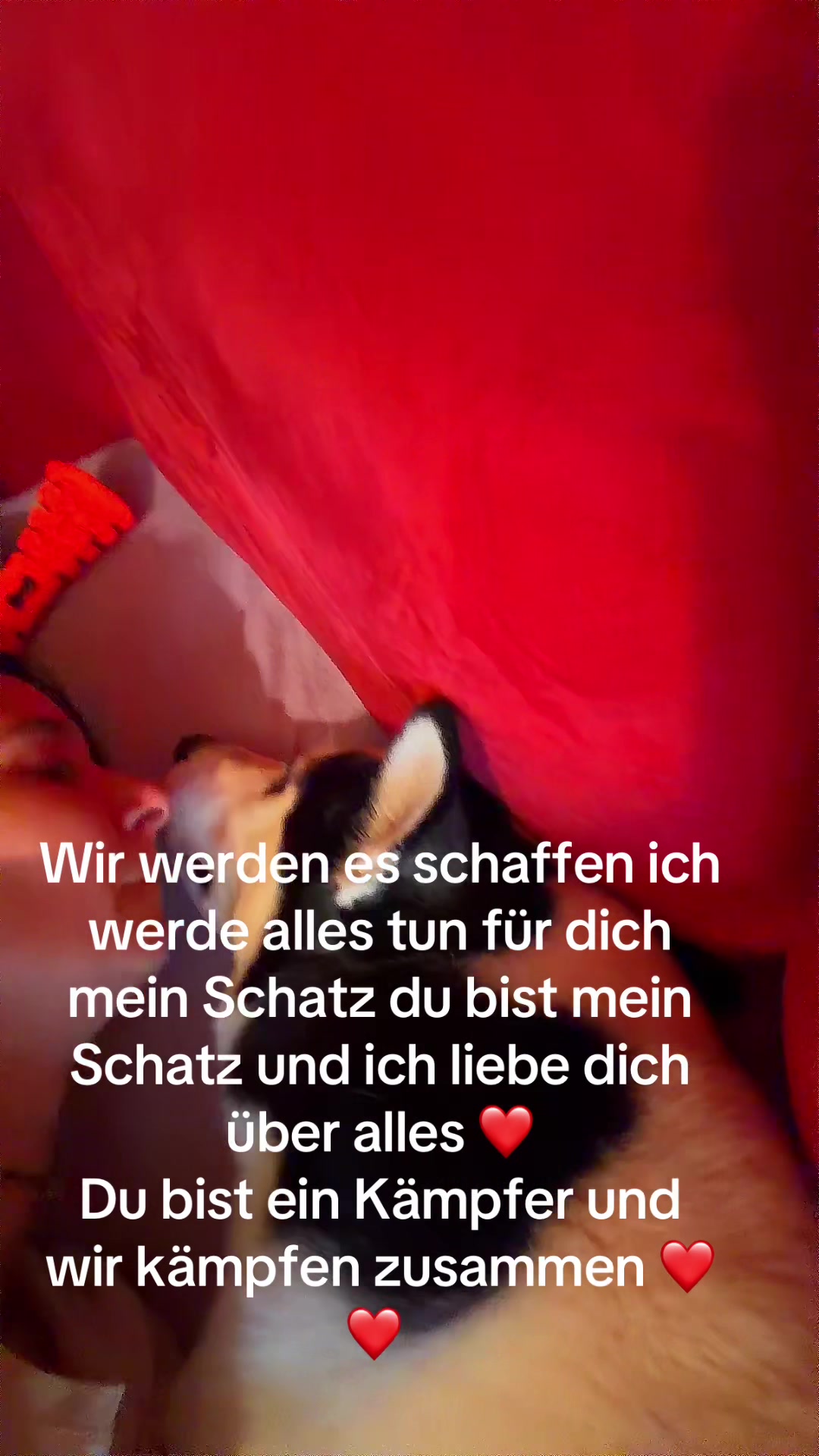 @🎶&hearts;️gibtskeinen&hearts;️🎶