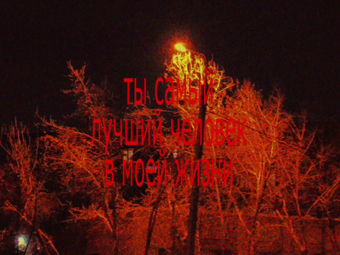 @тгк: caliniamusic