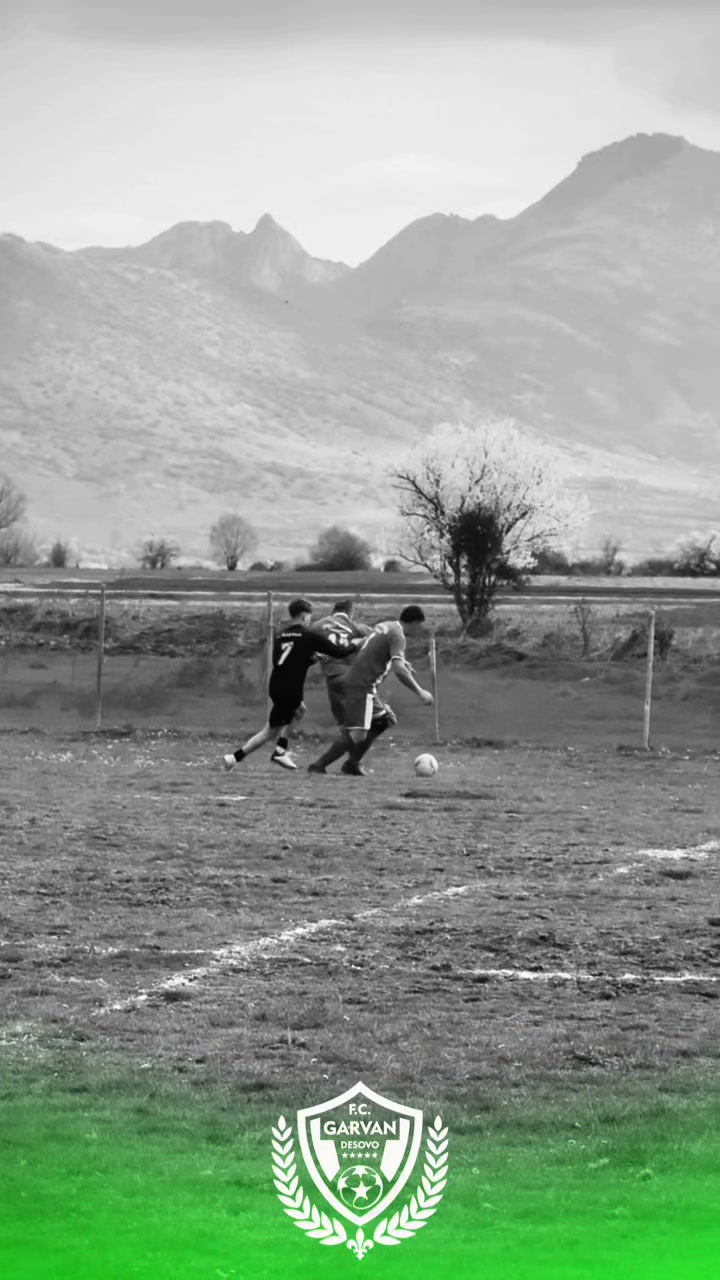 @fcgarvandesovo_official