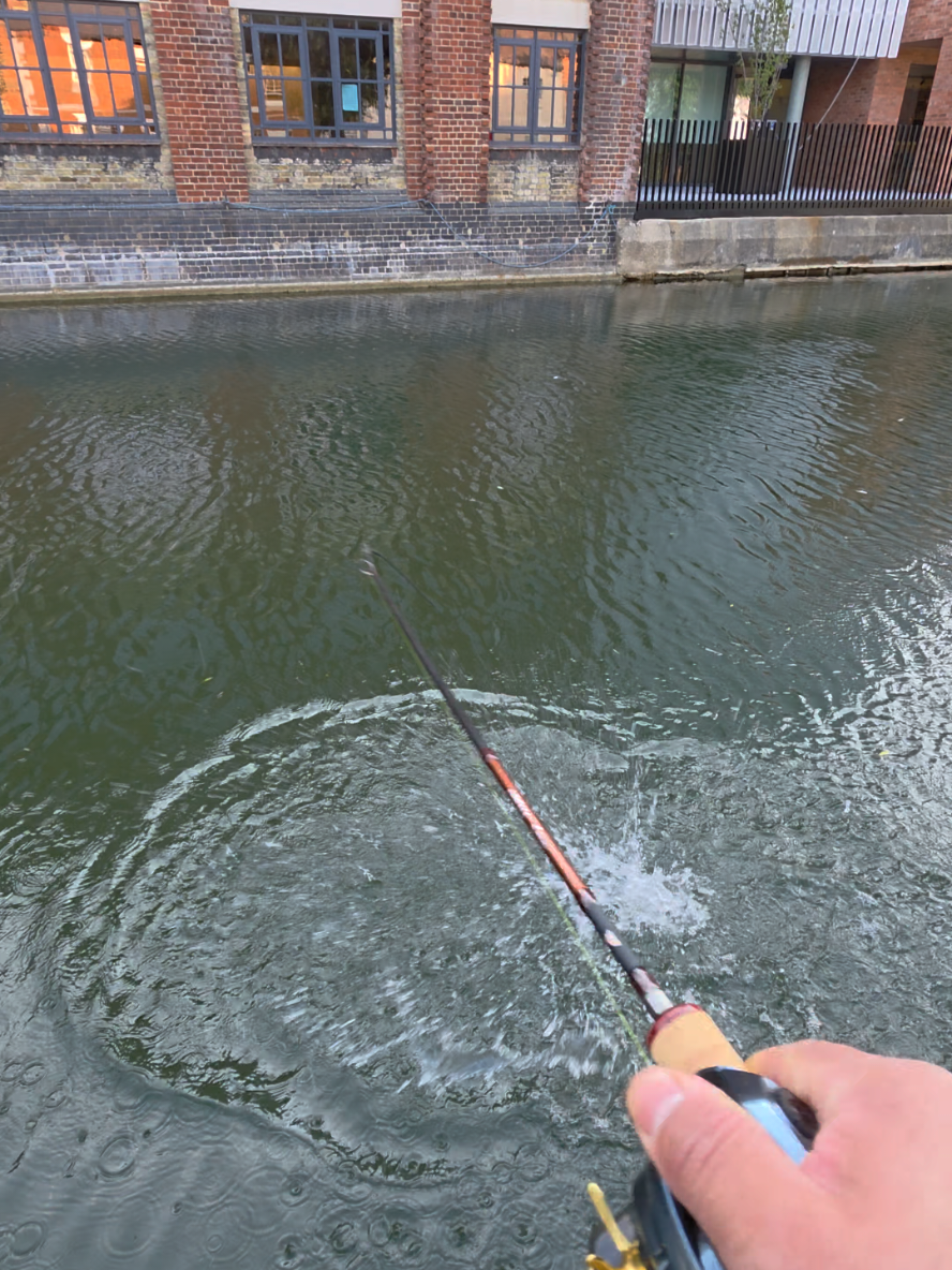 @BF Angler