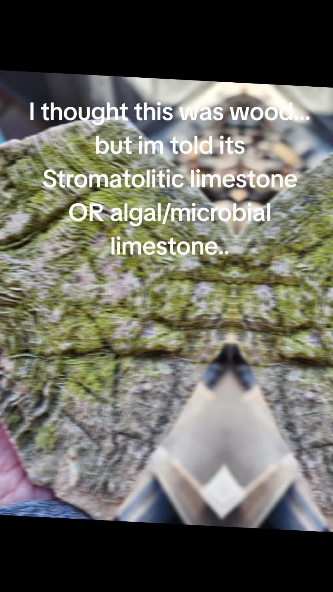 @EarthyFinds
