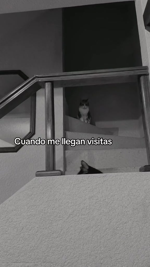 @Diana Placebo
