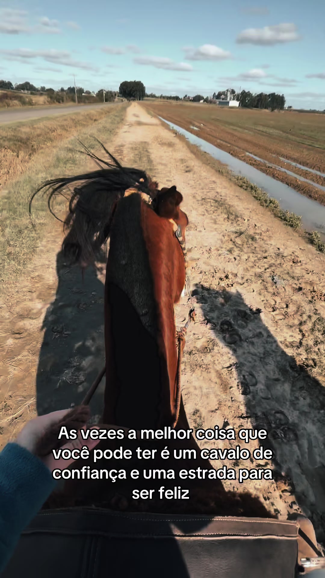 @Colorado da Baldez 🤎🐴