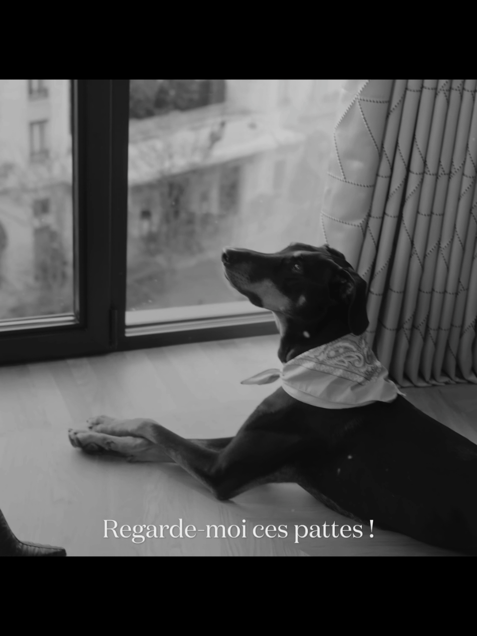 @fxtw